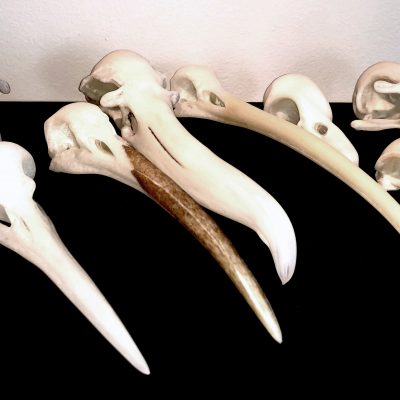 Skull Study A by Karen Willenbrink Johnsen available at Habatat Galleries, FL